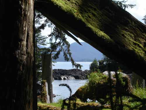 Fallen House Beam at Sgaang Gwaii